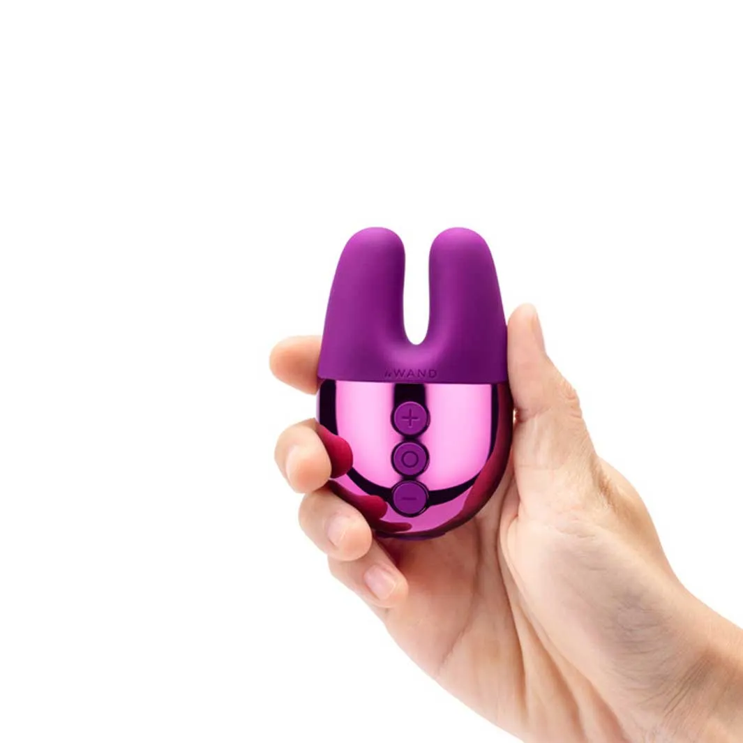 Le Wand Chrome Collection Double Vibrator