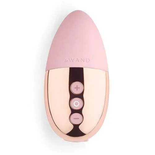 Le Wand Point Vibrator