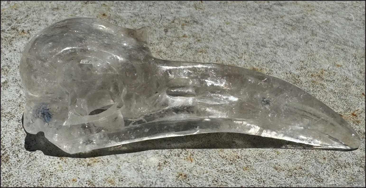 Lg. Light SMOKY QUARTZ Raven Crystal Skull with Shimmery Rainbows
