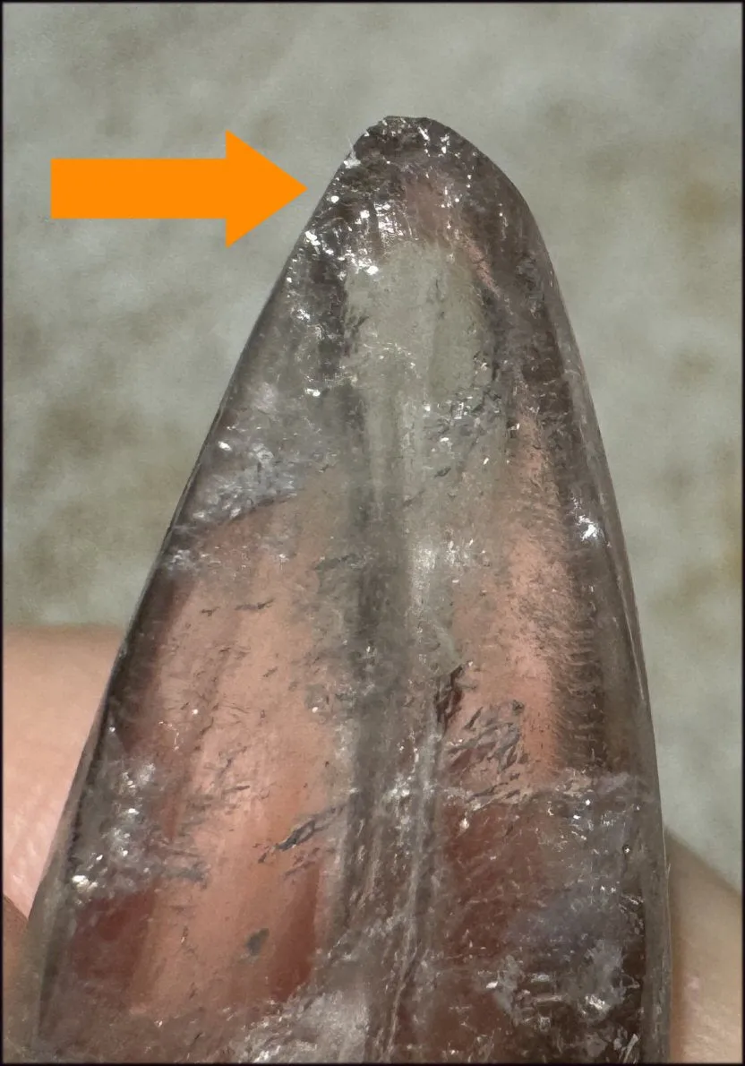 Lg. Light SMOKY QUARTZ Raven Crystal Skull with Shimmery Rainbows