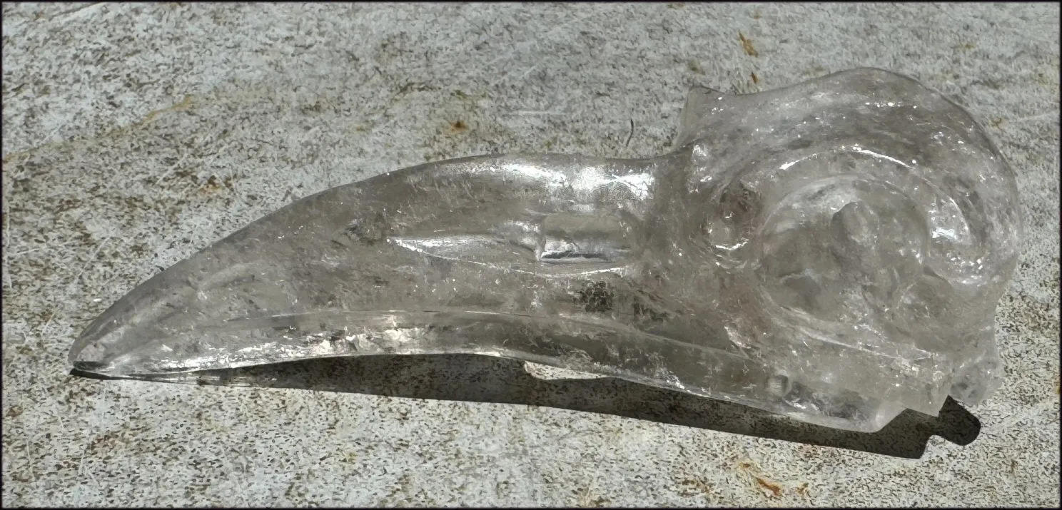 Lg. Light SMOKY QUARTZ Raven Crystal Skull with Shimmery Rainbows