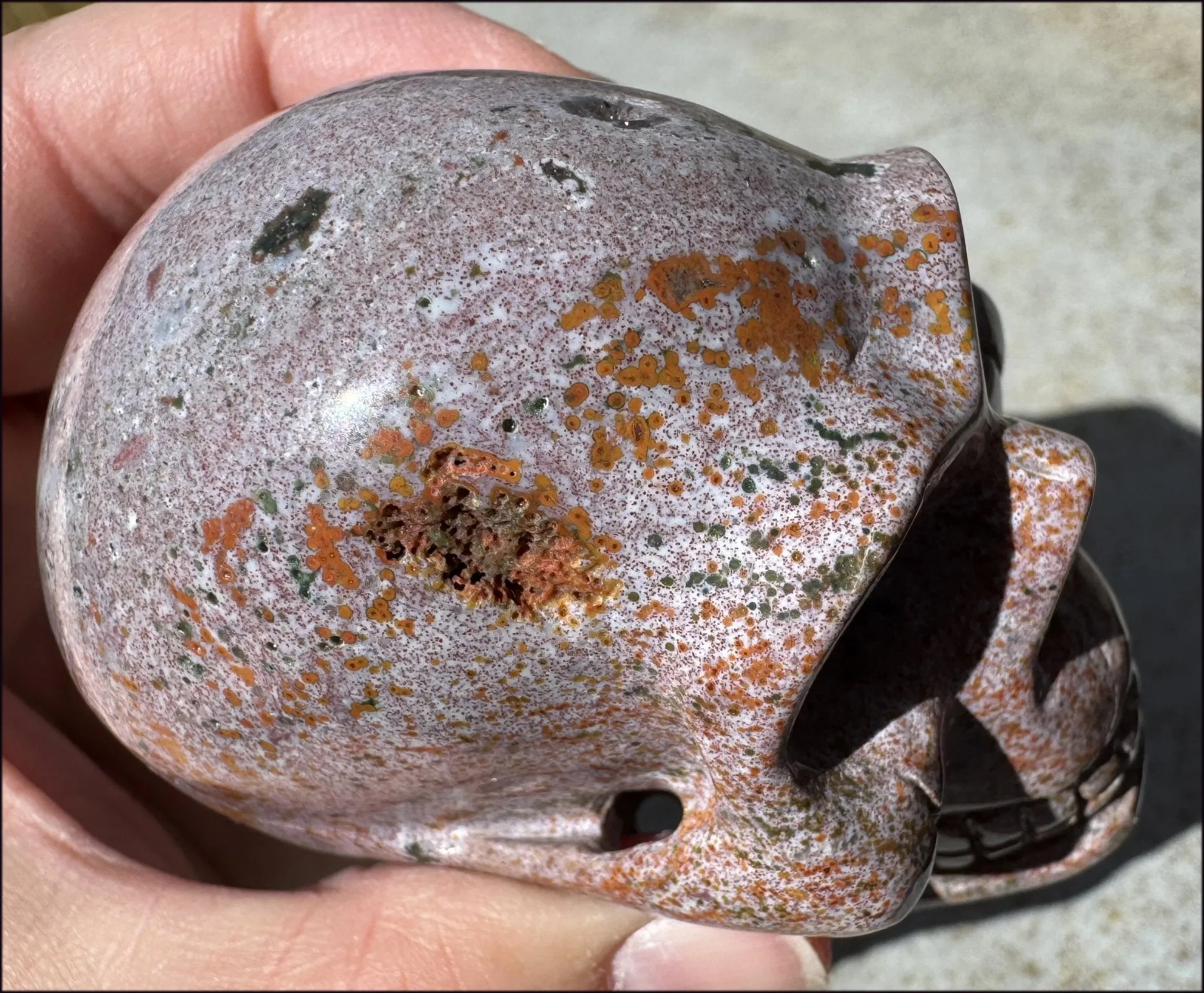 Lg. OCEAN JASPER Crystal Skull with Druzy Lined VUGS