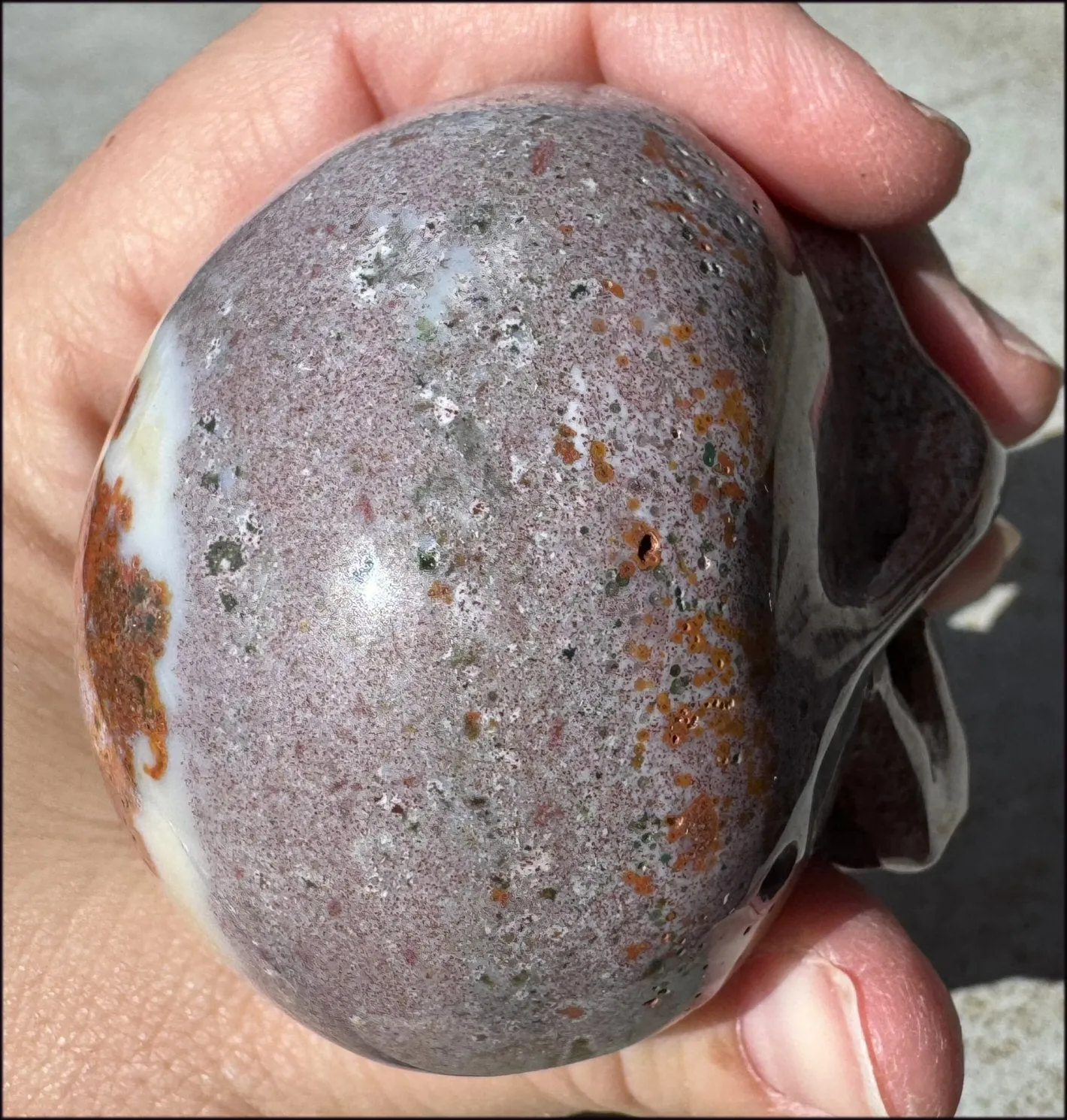 Lg. OCEAN JASPER Crystal Skull with Druzy Lined VUGS