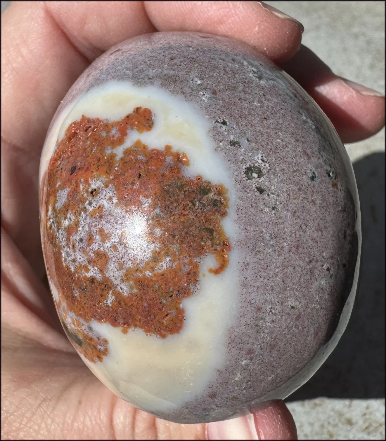 Lg. OCEAN JASPER Crystal Skull with Druzy Lined VUGS