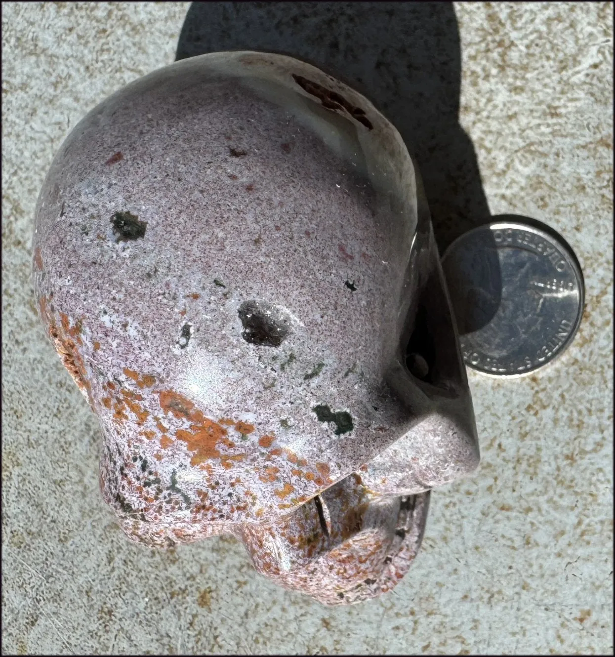 Lg. OCEAN JASPER Crystal Skull with Druzy Lined VUGS