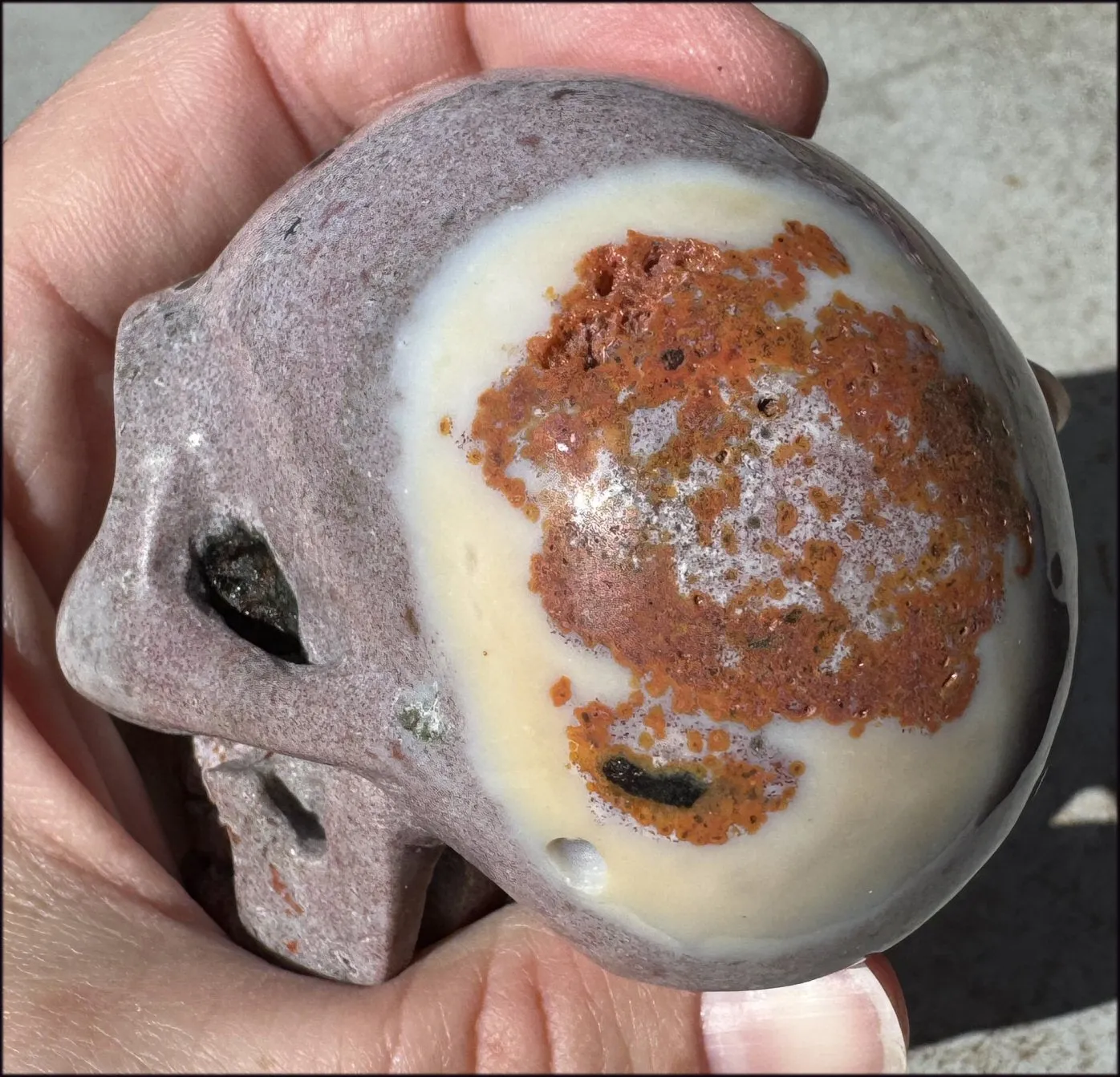 Lg. OCEAN JASPER Crystal Skull with Druzy Lined VUGS