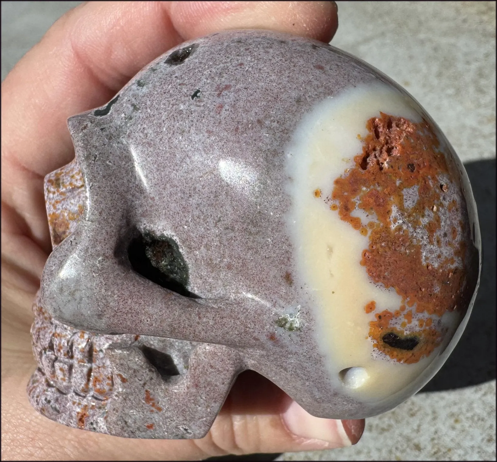 Lg. OCEAN JASPER Crystal Skull with Druzy Lined VUGS