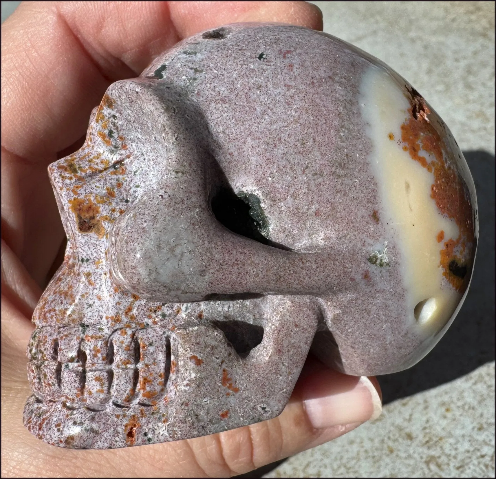 Lg. OCEAN JASPER Crystal Skull with Druzy Lined VUGS
