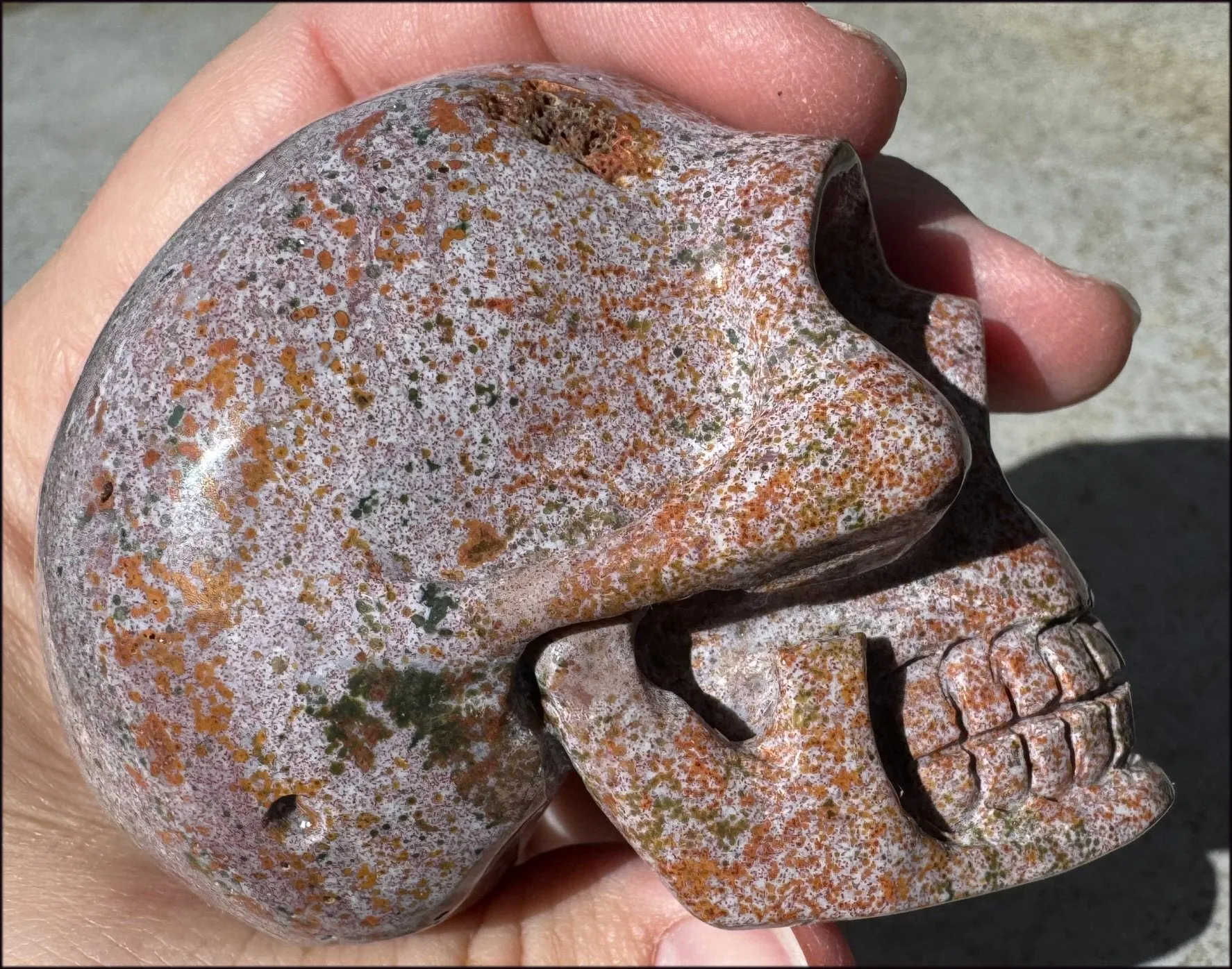 Lg. OCEAN JASPER Crystal Skull with Druzy Lined VUGS