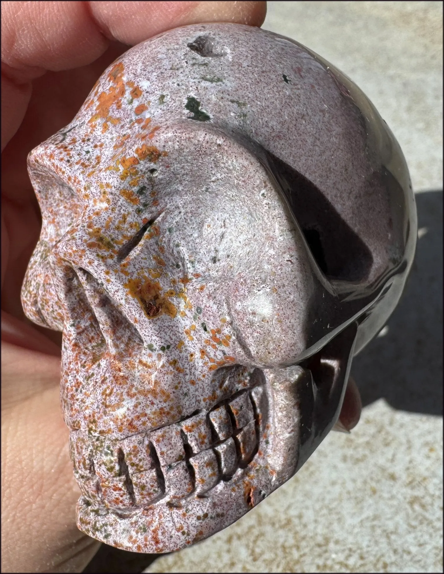Lg. OCEAN JASPER Crystal Skull with Druzy Lined VUGS