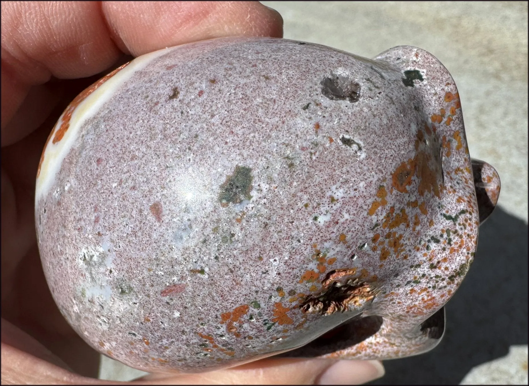 Lg. OCEAN JASPER Crystal Skull with Druzy Lined VUGS