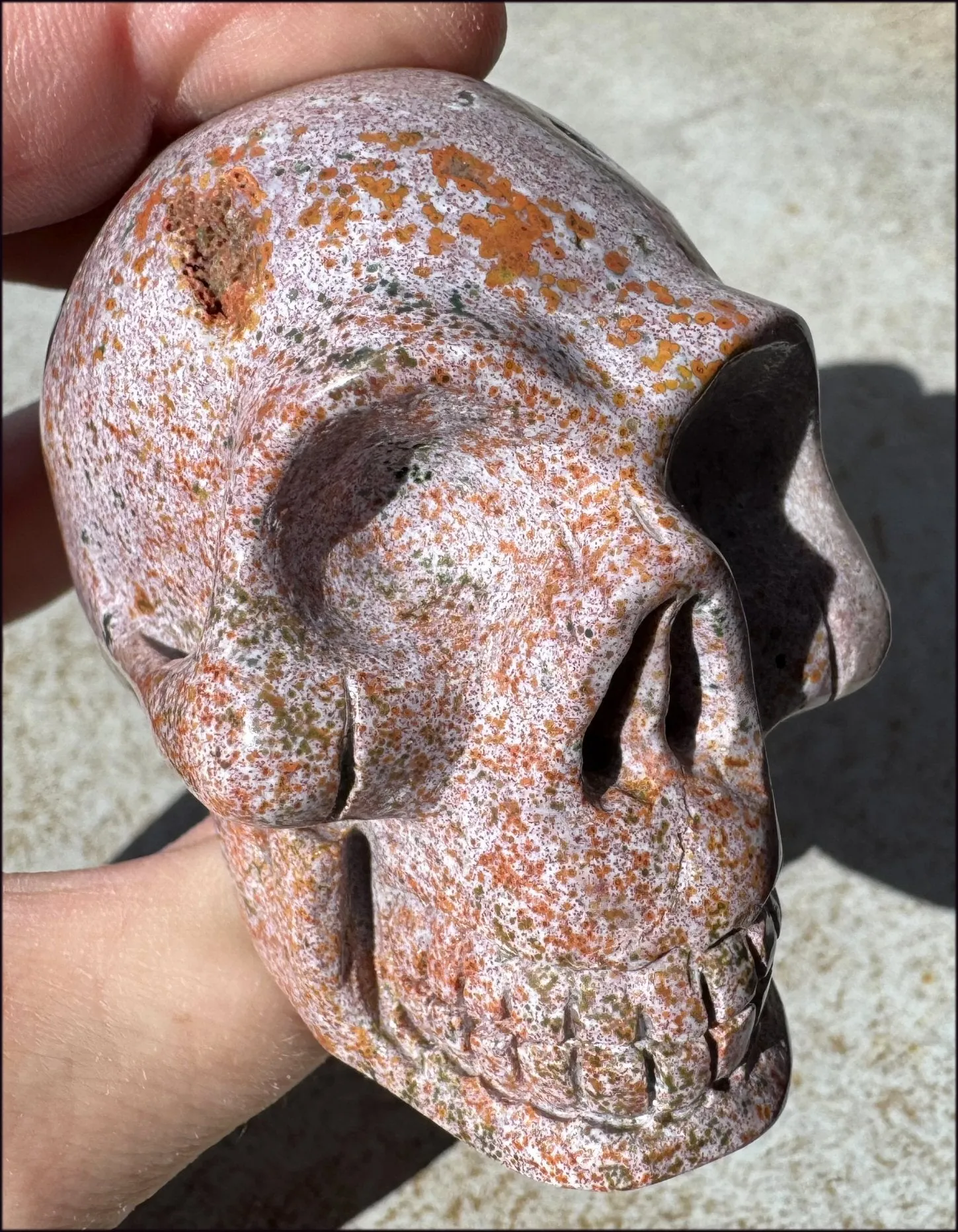 Lg. OCEAN JASPER Crystal Skull with Druzy Lined VUGS
