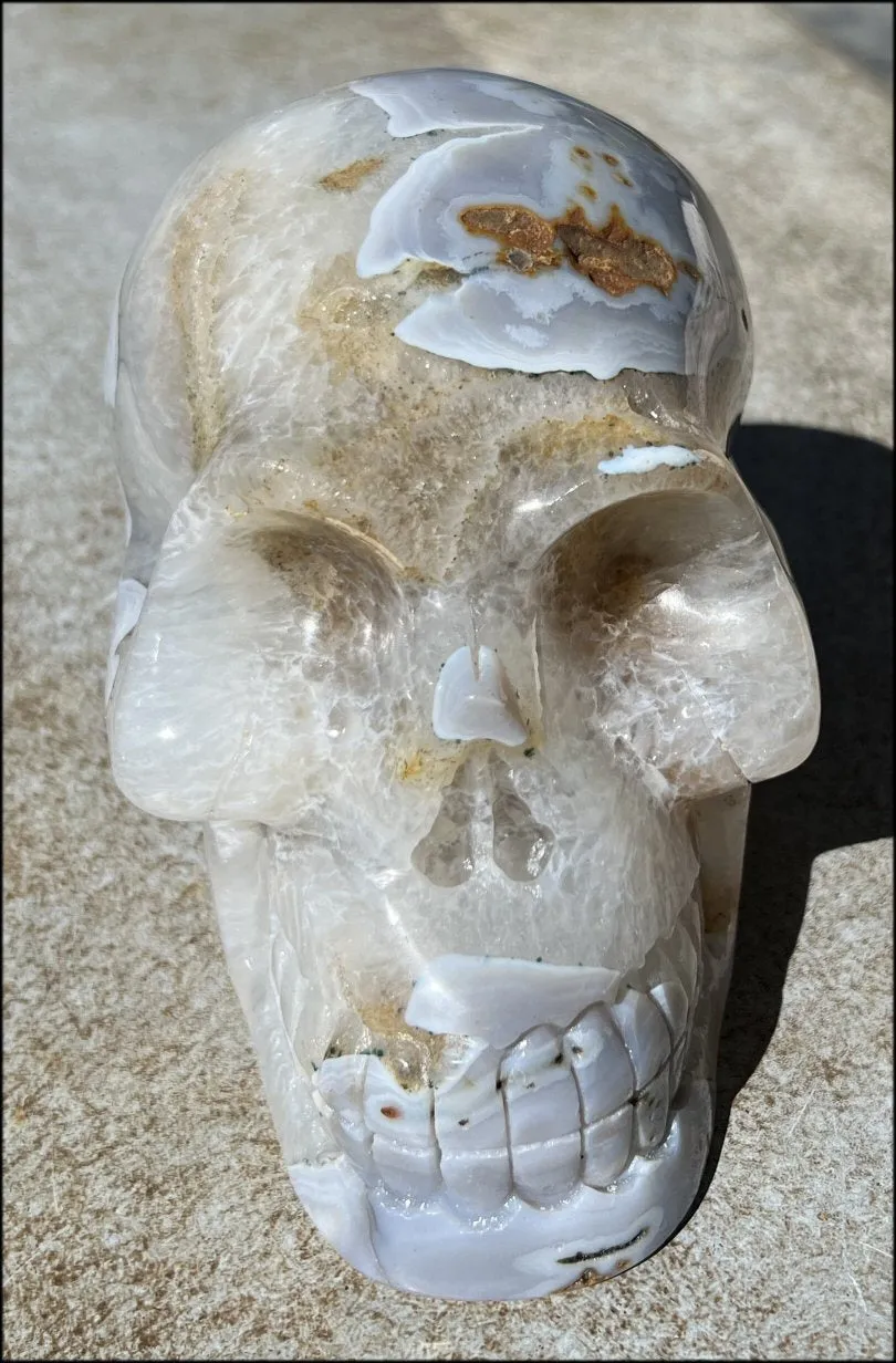 LifeSize Blue-Grey Agate GEODE Crystal Skull with Hematite Chlorite inclusions, Sparkly Crystalline Formations