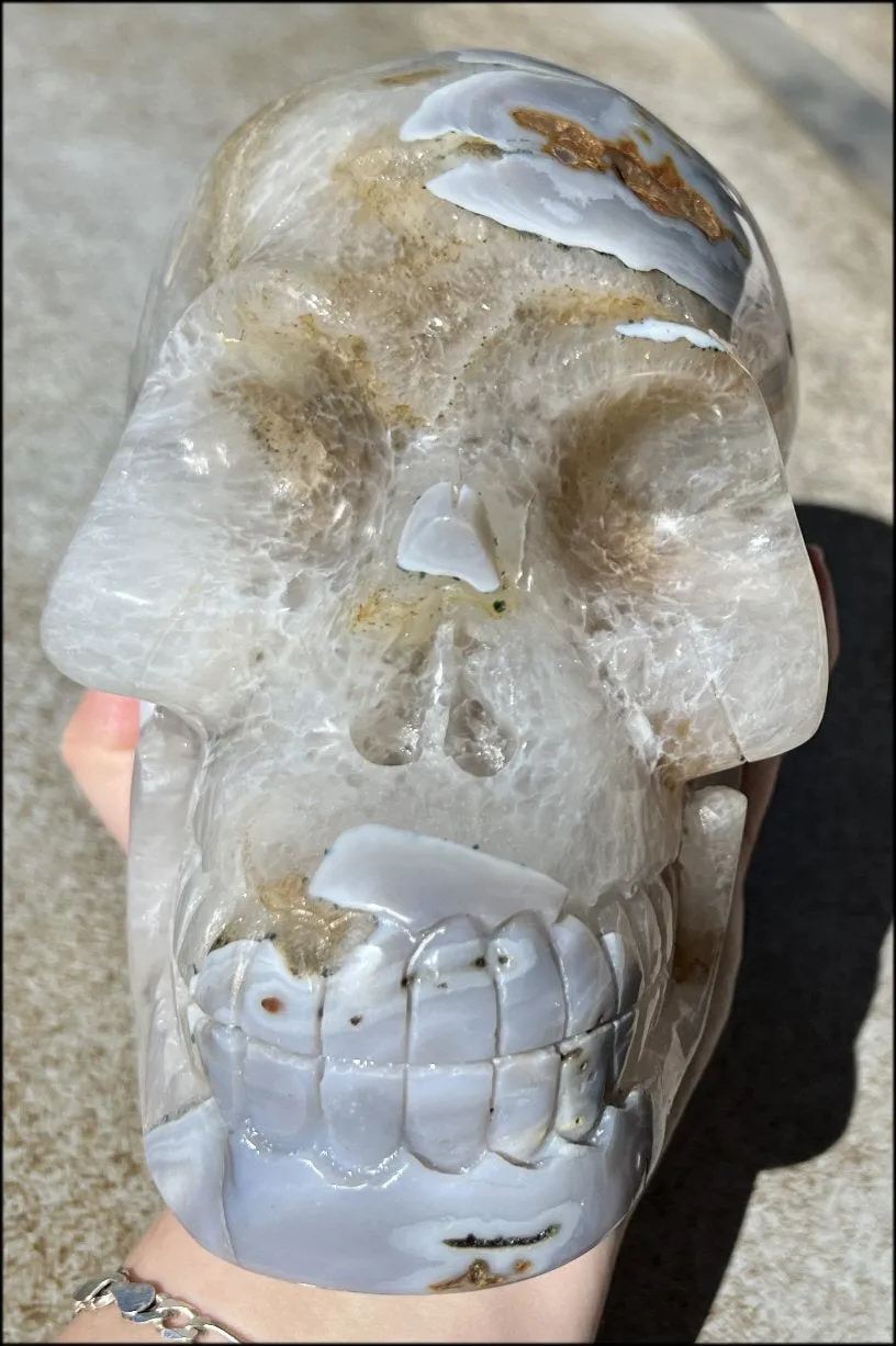 LifeSize Blue-Grey Agate GEODE Crystal Skull with Hematite Chlorite inclusions, Sparkly Crystalline Formations
