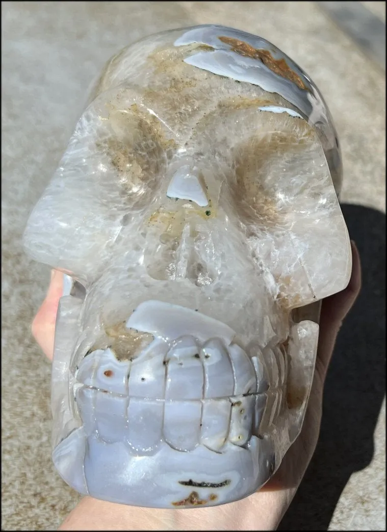 LifeSize Blue-Grey Agate GEODE Crystal Skull with Hematite Chlorite inclusions, Sparkly Crystalline Formations