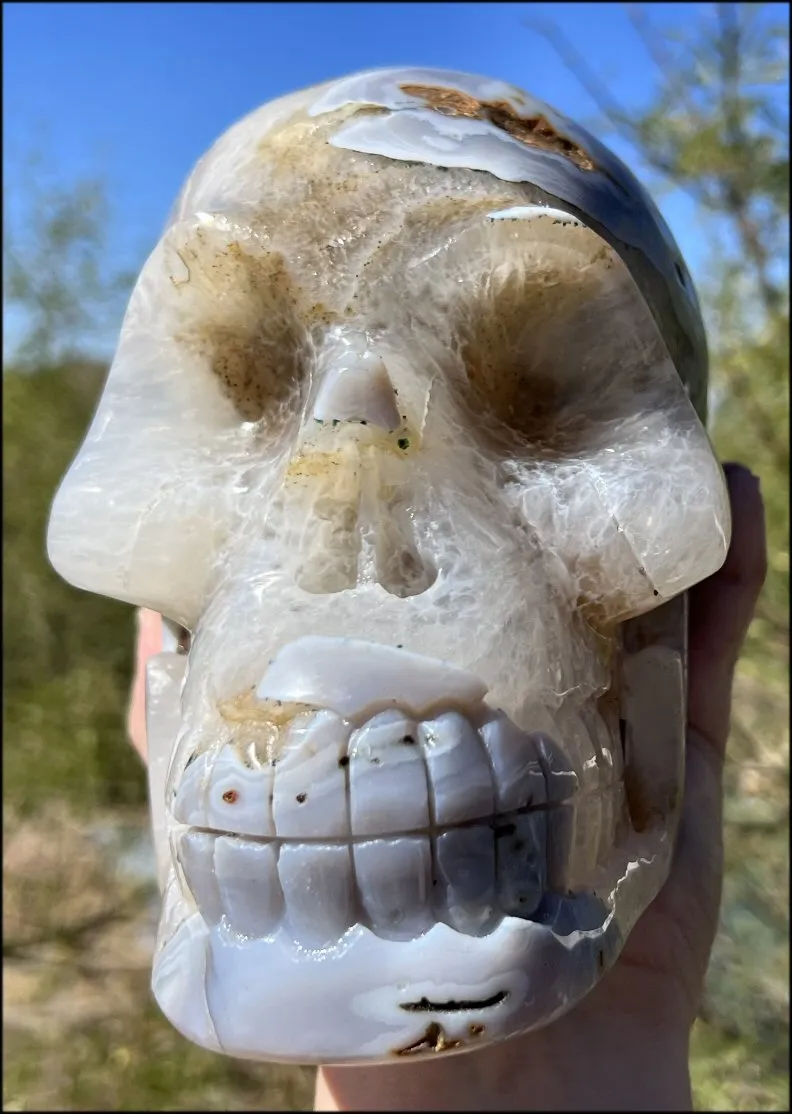 LifeSize Blue-Grey Agate GEODE Crystal Skull with Hematite Chlorite inclusions, Sparkly Crystalline Formations