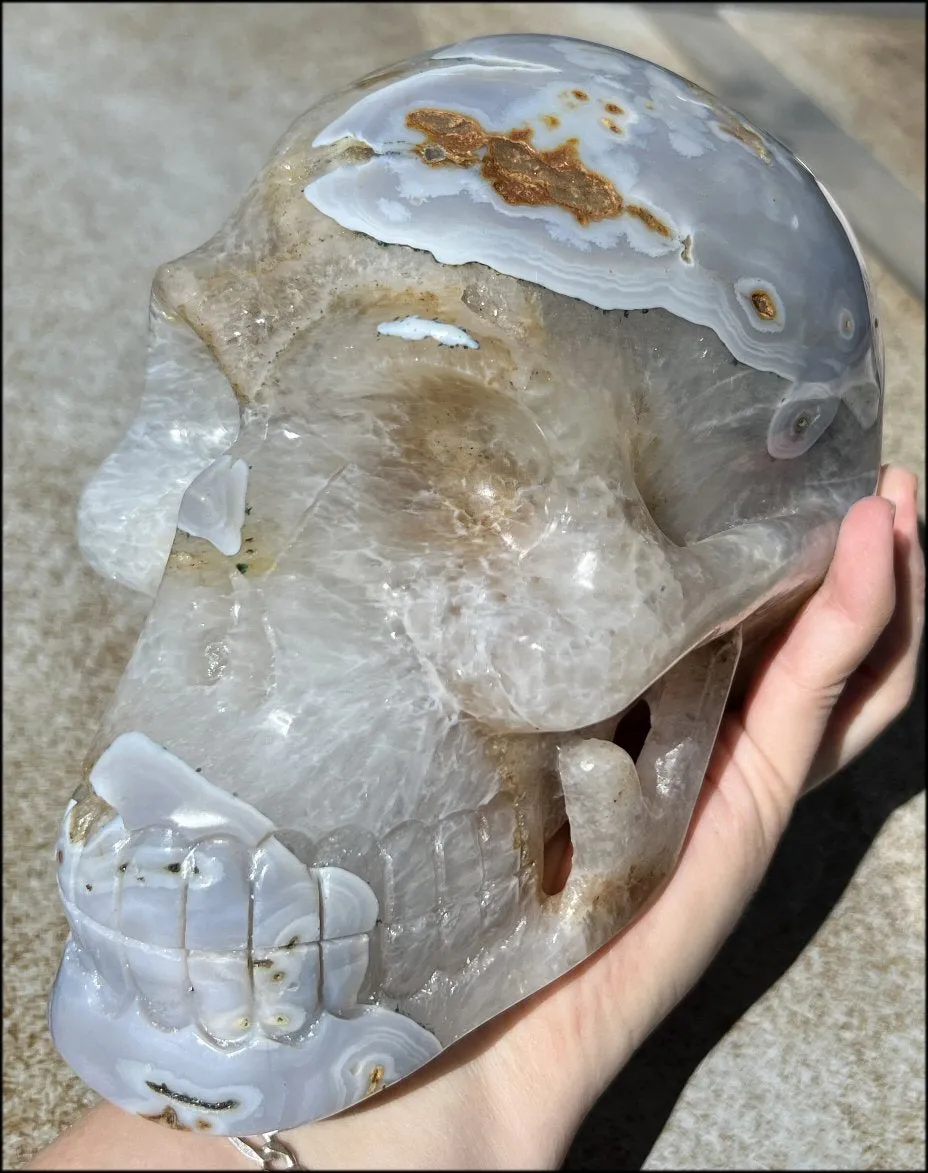 LifeSize Blue-Grey Agate GEODE Crystal Skull with Hematite Chlorite inclusions, Sparkly Crystalline Formations