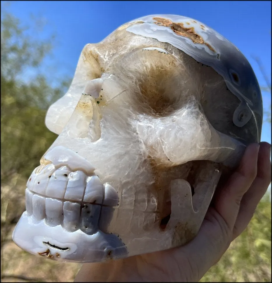 LifeSize Blue-Grey Agate GEODE Crystal Skull with Hematite Chlorite inclusions, Sparkly Crystalline Formations