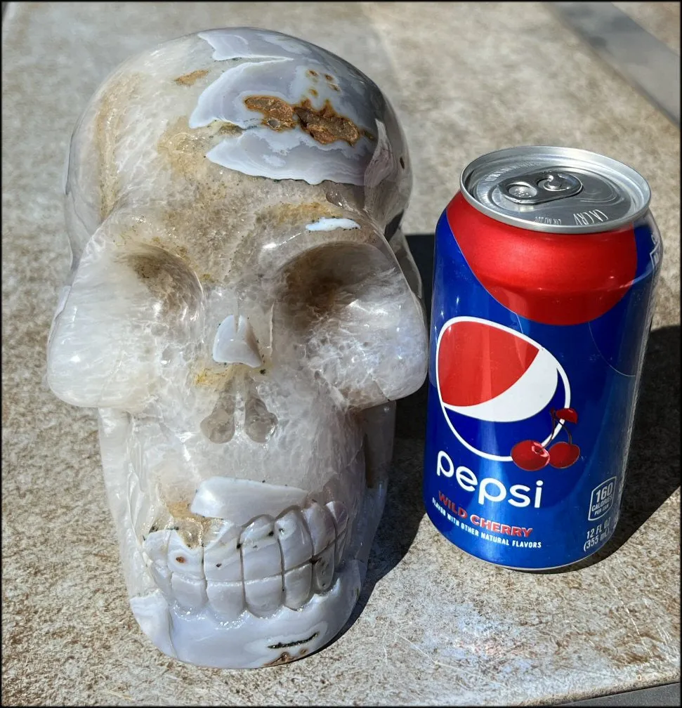 LifeSize Blue-Grey Agate GEODE Crystal Skull with Hematite Chlorite inclusions, Sparkly Crystalline Formations