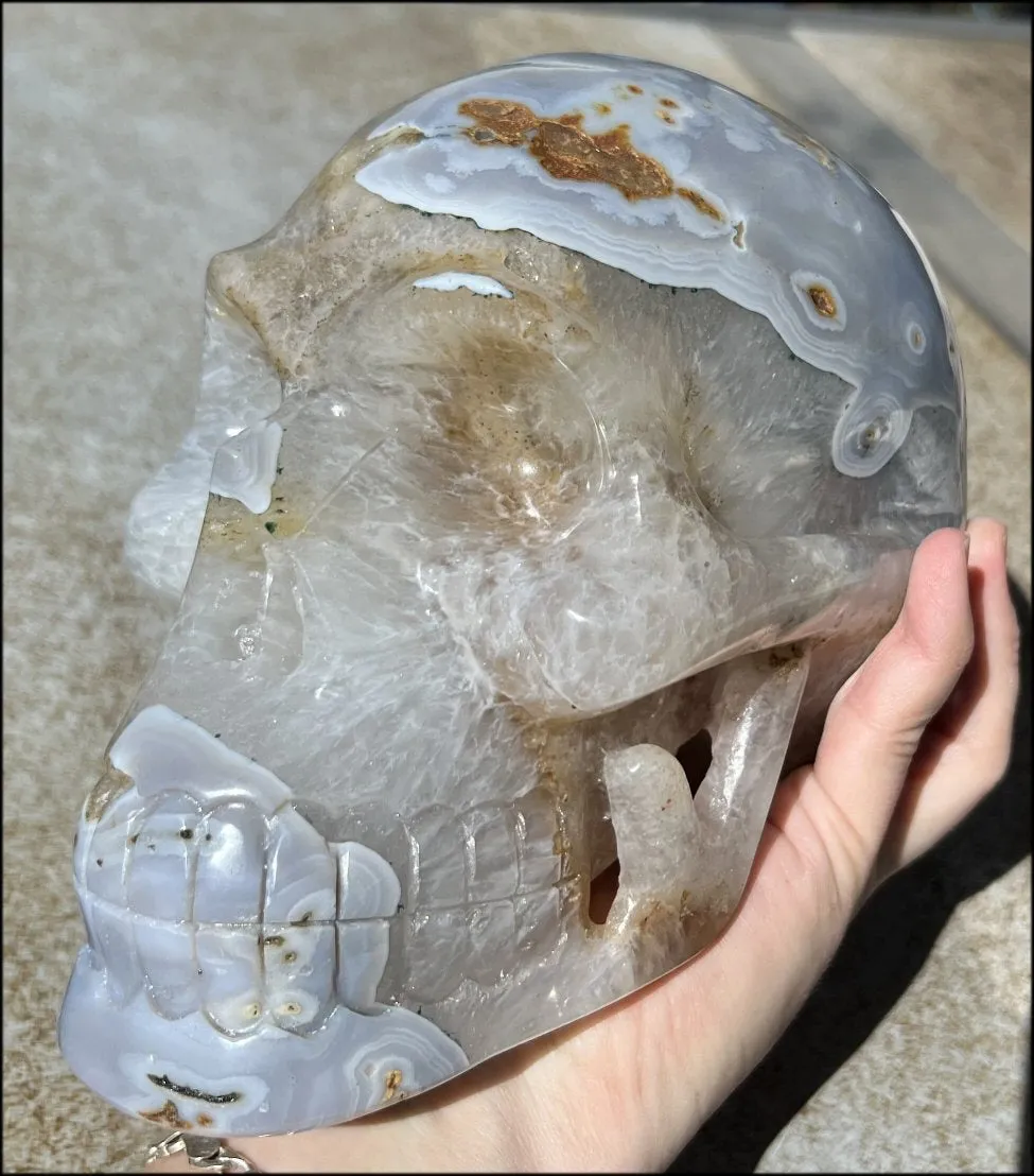 LifeSize Blue-Grey Agate GEODE Crystal Skull with Hematite Chlorite inclusions, Sparkly Crystalline Formations