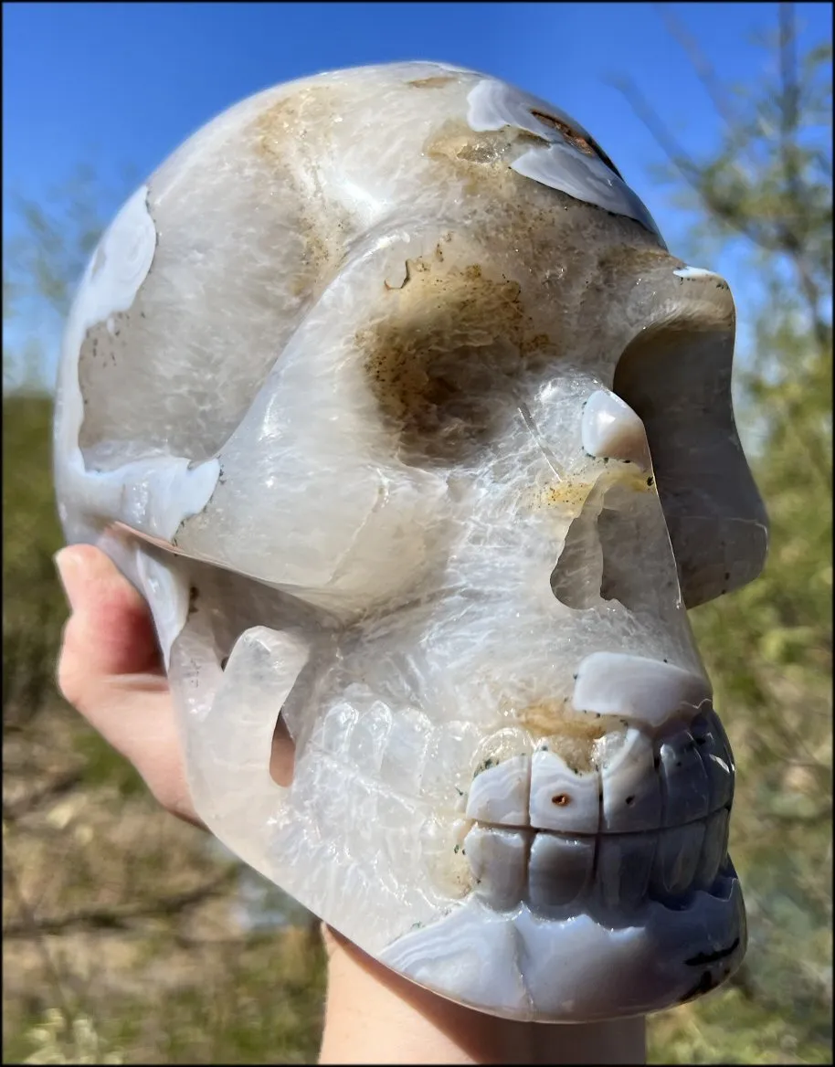 LifeSize Blue-Grey Agate GEODE Crystal Skull with Hematite Chlorite inclusions, Sparkly Crystalline Formations