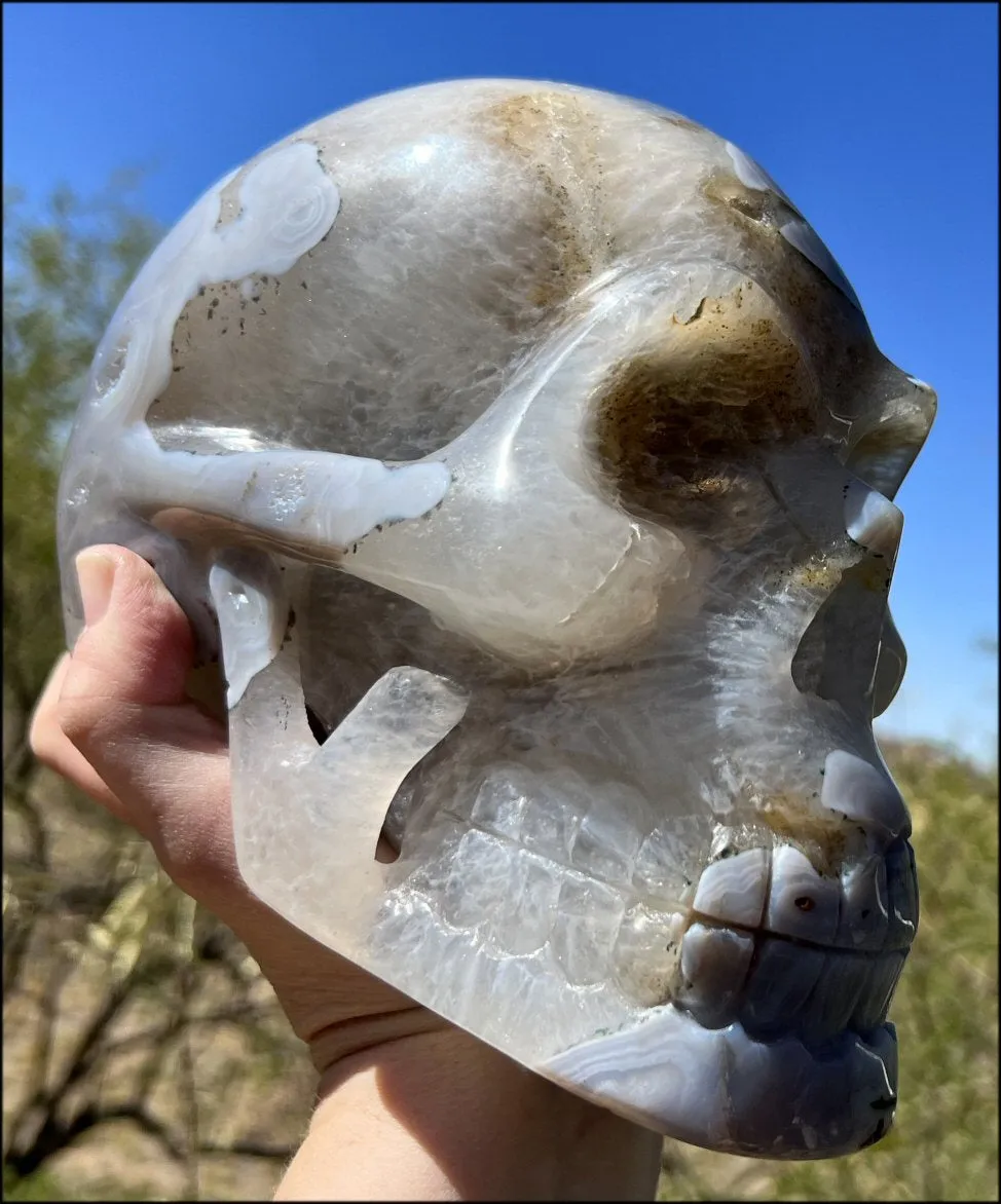 LifeSize Blue-Grey Agate GEODE Crystal Skull with Hematite Chlorite inclusions, Sparkly Crystalline Formations