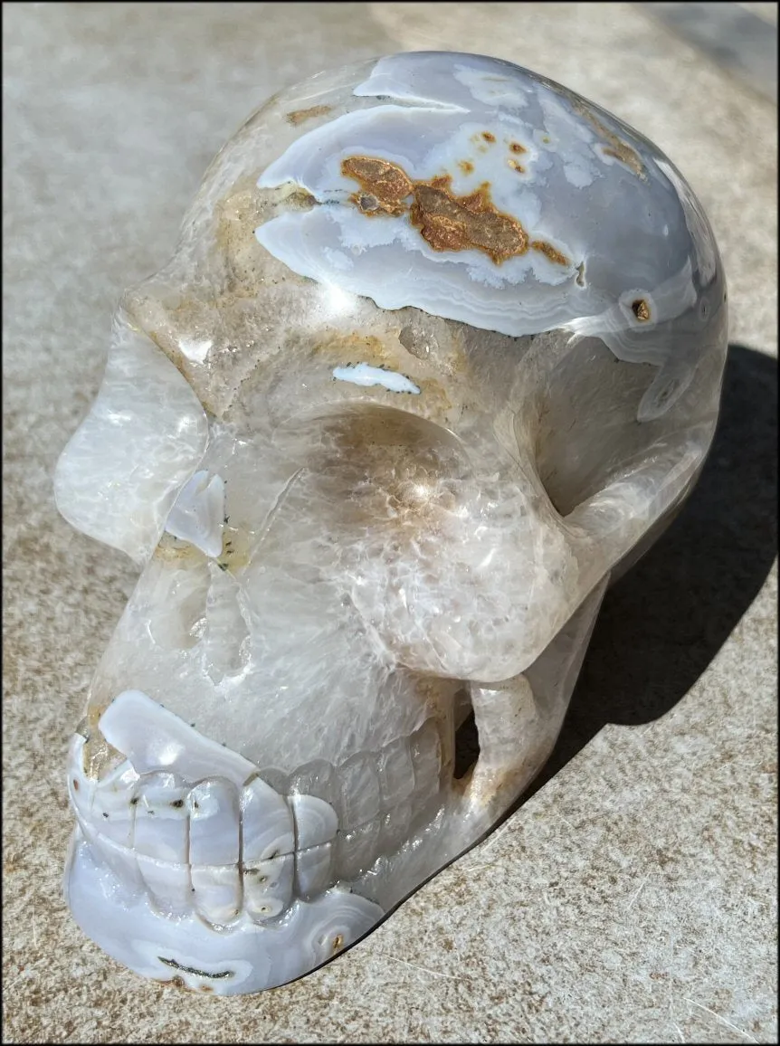 LifeSize Blue-Grey Agate GEODE Crystal Skull with Hematite Chlorite inclusions, Sparkly Crystalline Formations