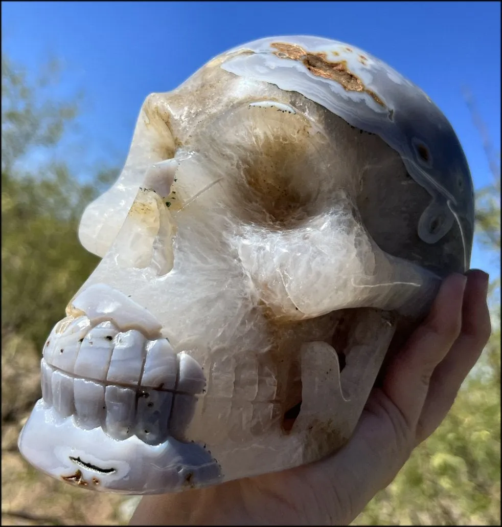 LifeSize Blue-Grey Agate GEODE Crystal Skull with Hematite Chlorite inclusions, Sparkly Crystalline Formations