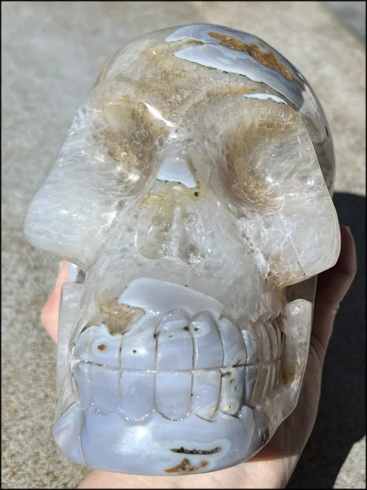 LifeSize Blue-Grey Agate GEODE Crystal Skull with Hematite Chlorite inclusions, Sparkly Crystalline Formations