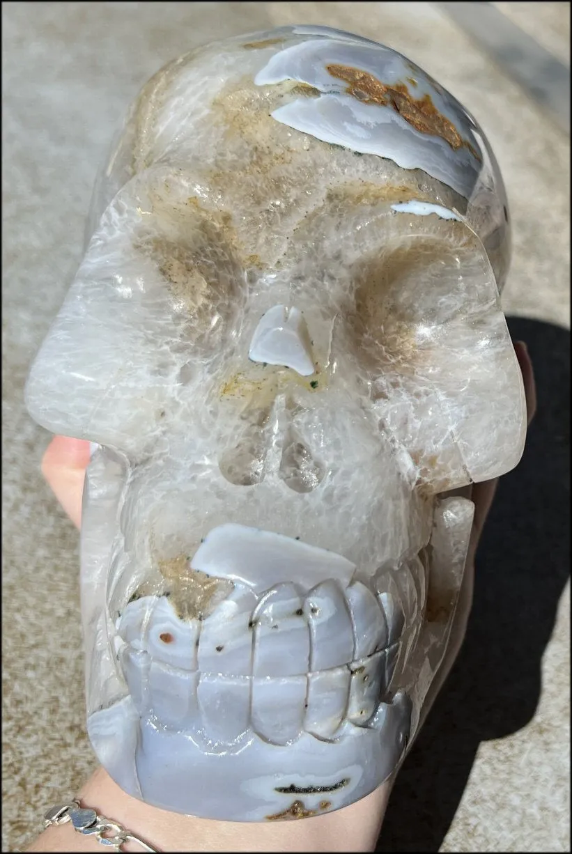 LifeSize Blue-Grey Agate GEODE Crystal Skull with Hematite Chlorite inclusions, Sparkly Crystalline Formations