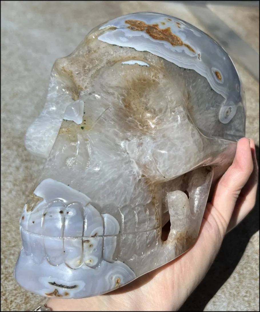 LifeSize Blue-Grey Agate GEODE Crystal Skull with Hematite Chlorite inclusions, Sparkly Crystalline Formations