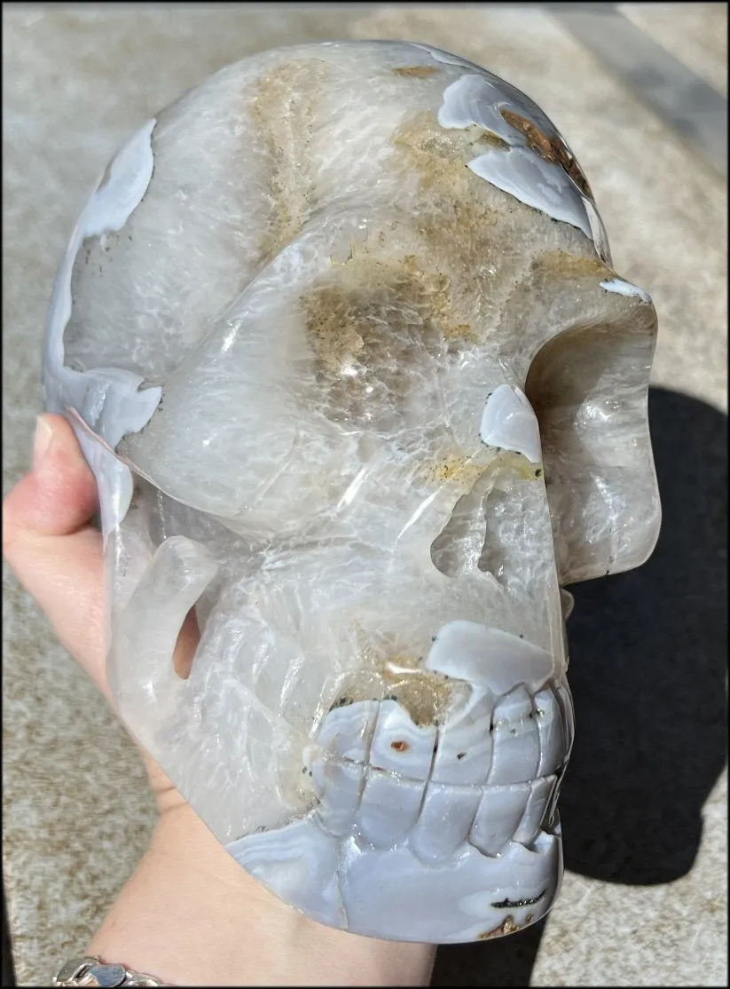 LifeSize Blue-Grey Agate GEODE Crystal Skull with Hematite Chlorite inclusions, Sparkly Crystalline Formations