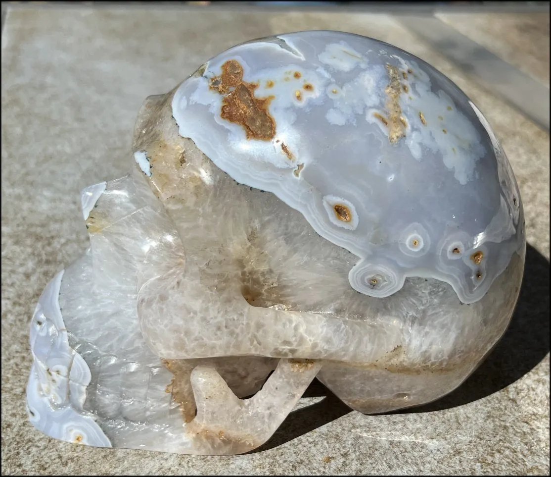 LifeSize Blue-Grey Agate GEODE Crystal Skull with Hematite Chlorite inclusions, Sparkly Crystalline Formations