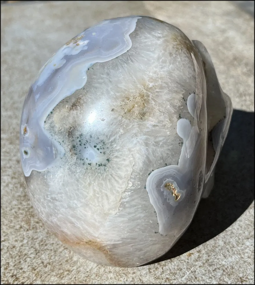 LifeSize Blue-Grey Agate GEODE Crystal Skull with Hematite Chlorite inclusions, Sparkly Crystalline Formations