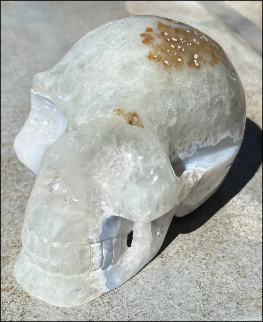 LifeSize Blue-Grey Agate GEODE Crystal Skull with Iron Dendrites