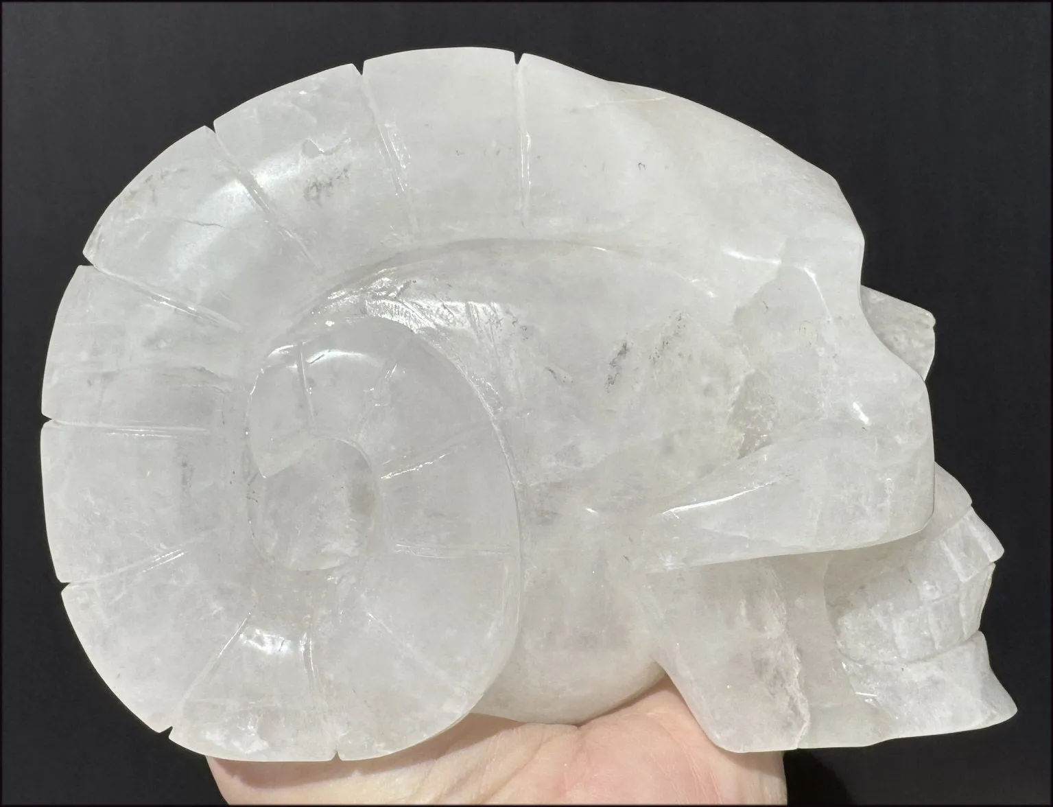 LifeSize MONGOLIAN QUARTZ Ram Crystal Skull with Hematite, Chlorite
