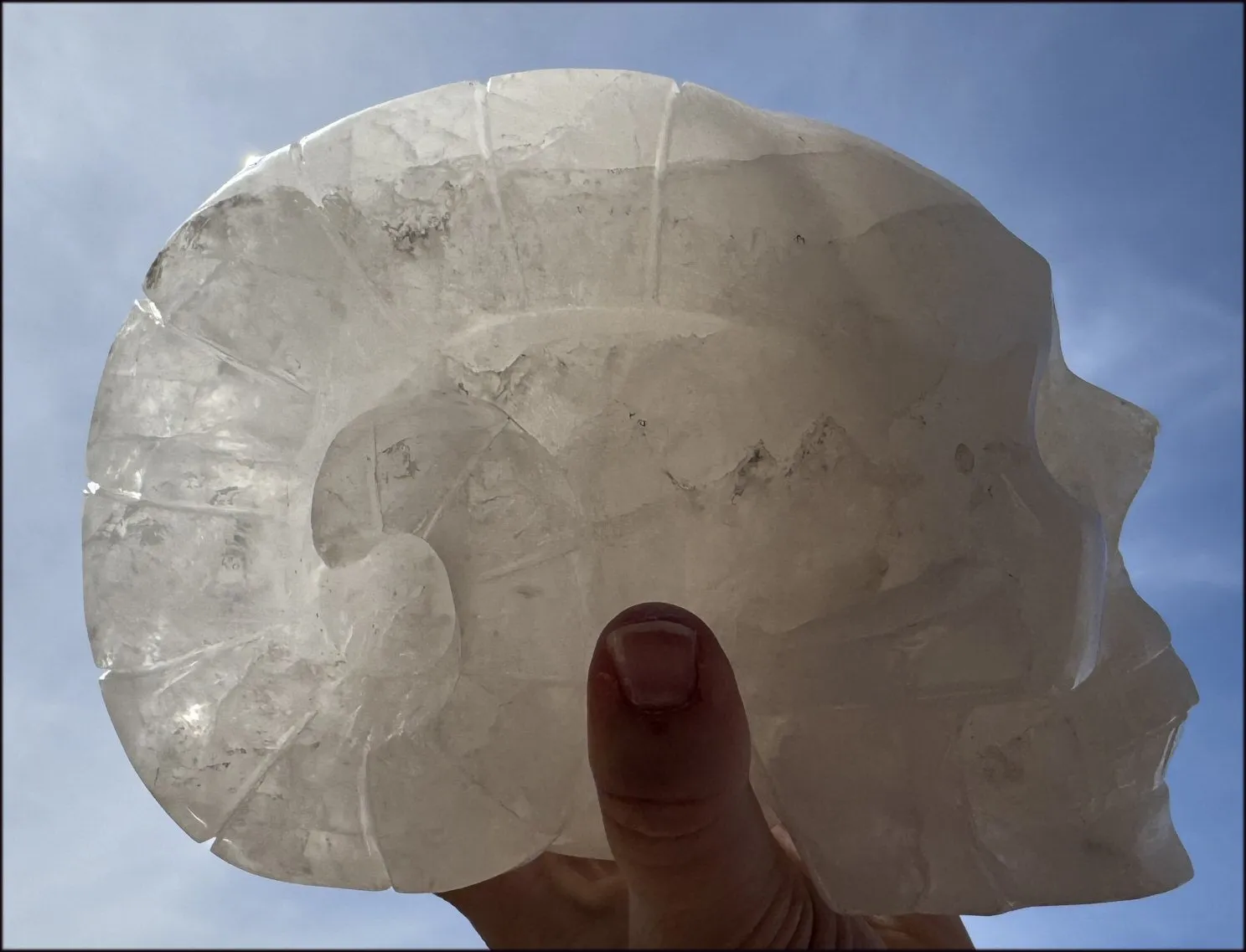 LifeSize MONGOLIAN QUARTZ Ram Crystal Skull with Hematite, Chlorite