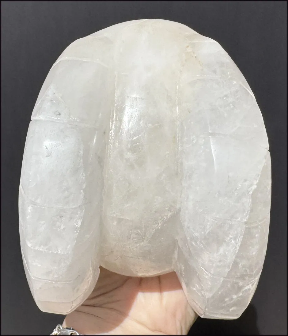 LifeSize MONGOLIAN QUARTZ Ram Crystal Skull with Hematite, Chlorite