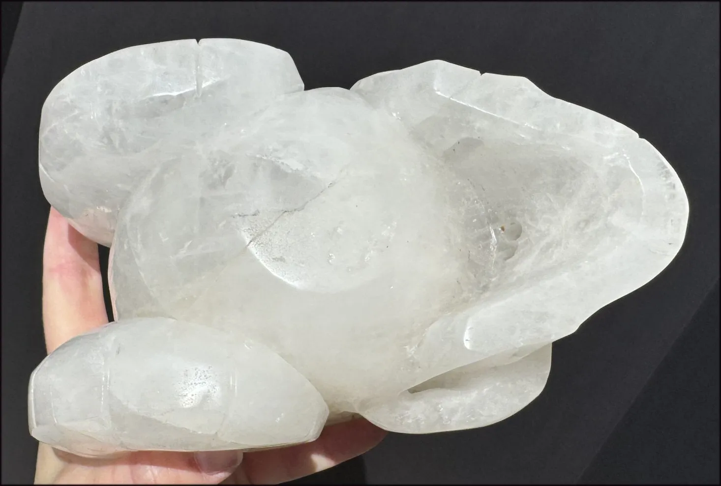 LifeSize MONGOLIAN QUARTZ Ram Crystal Skull with Hematite, Chlorite