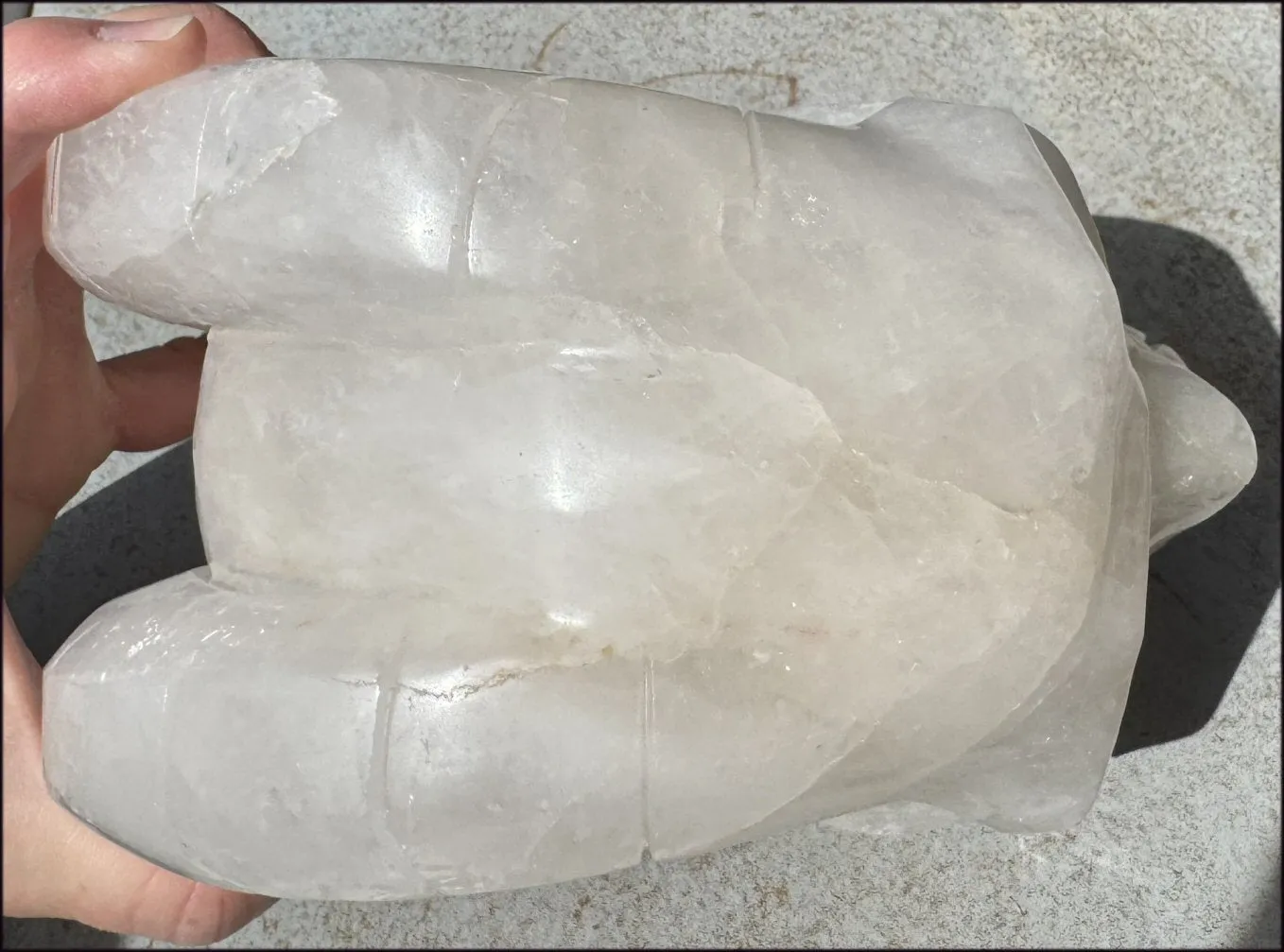LifeSize MONGOLIAN QUARTZ Ram Crystal Skull with Hematite, Chlorite