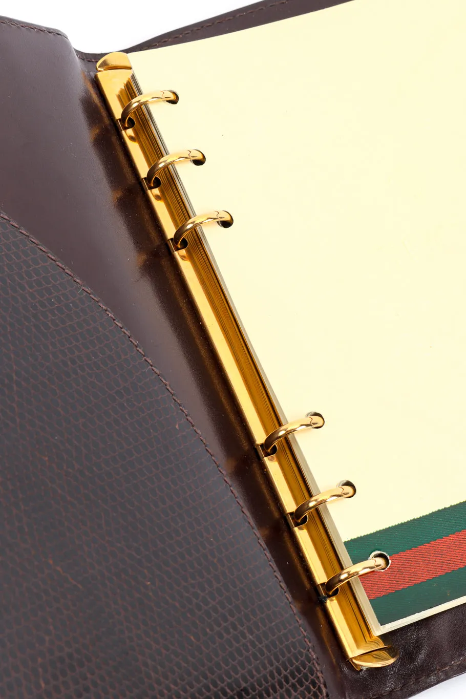 Lizard Skin Address Book