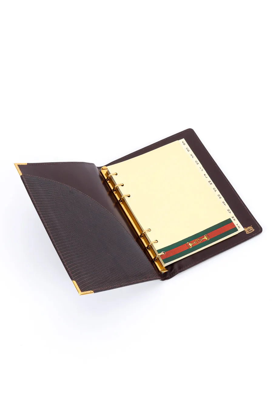Lizard Skin Address Book