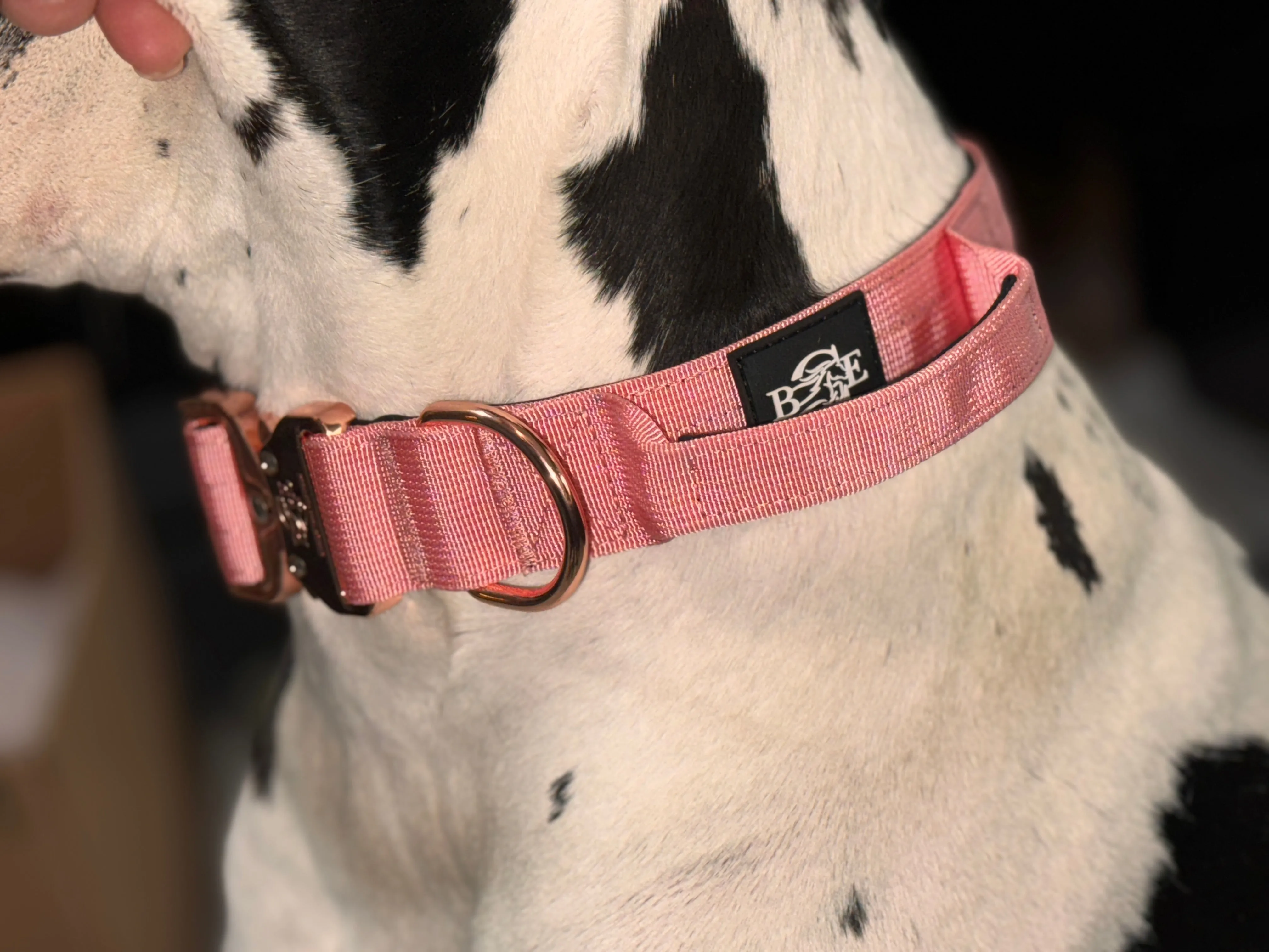 Lux Tactical Collar- Lana's Legacy 1.5"