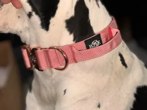 Lux Tactical Collar- Lana's Legacy 1.5"