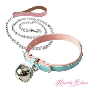 Luxury Collar and Leash Set