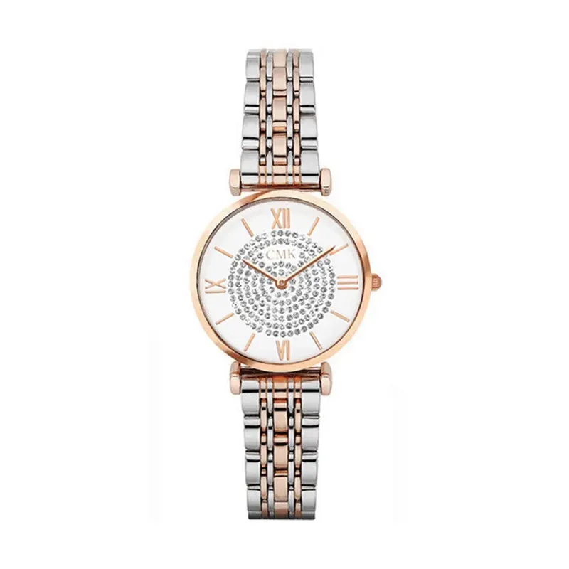 Luxury Wrist Watches for Women Fashion Quartz Watch Steel Band Dial Women Wathes Casual Ladies Watch Relogio Feminino