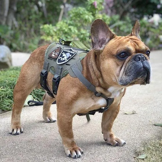 M4 Tactical MOLLE Vest Laser Cut