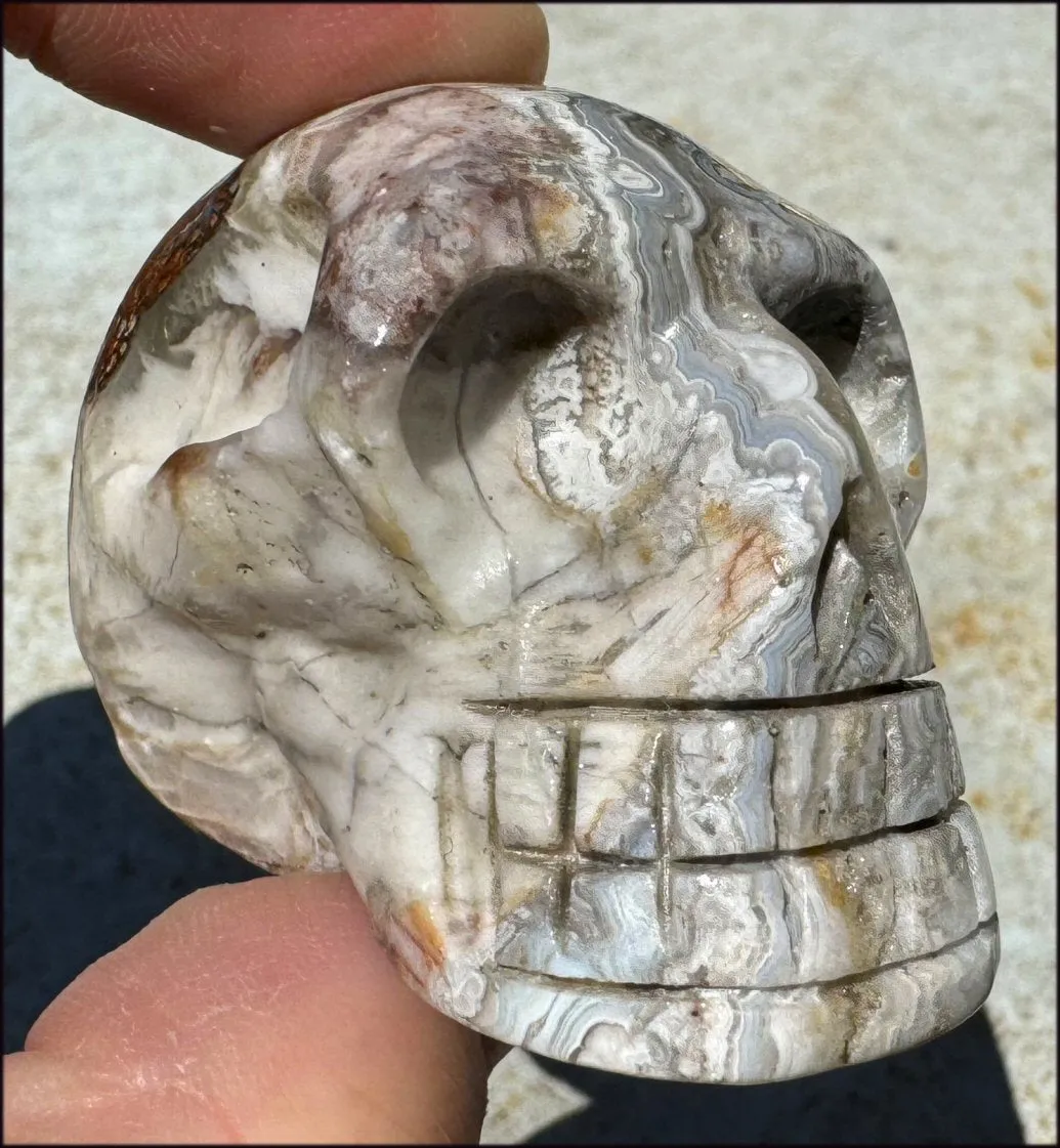 ~Mesmerizing~ Crazy Lace Agate CRYSTAL SKULL - Divination, Focus