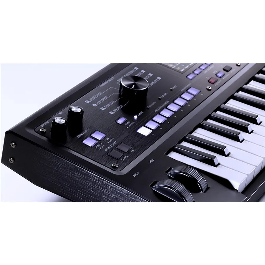 MICROKORG 2 BK