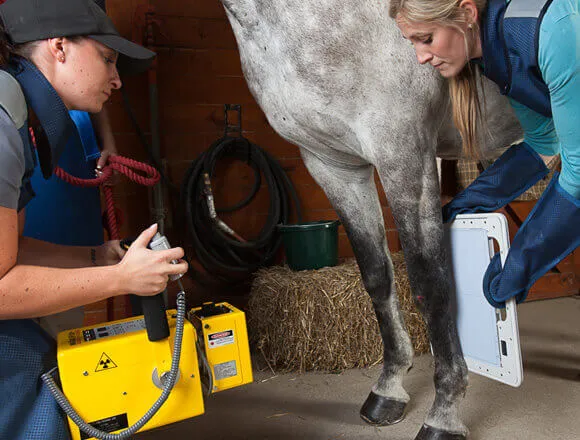 MinXray HF100  Ultra Light - Veterinary X-ray